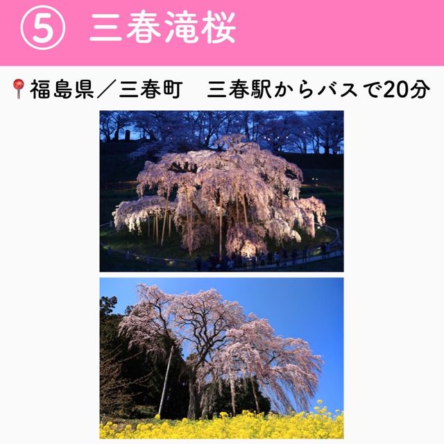 この春行きたい！お花見スポット7選