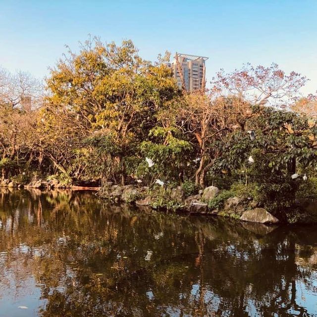 大安森林公園 🌸🌺🌼🌻💐🌷🌹 台北杜鵑花季