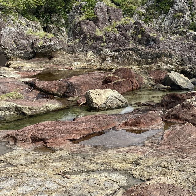 【屋久島】田代海岸