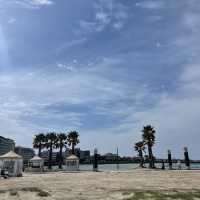 한국맞아? 이국적인 함덕해수욕장🏝+오션뷰 양식맛집