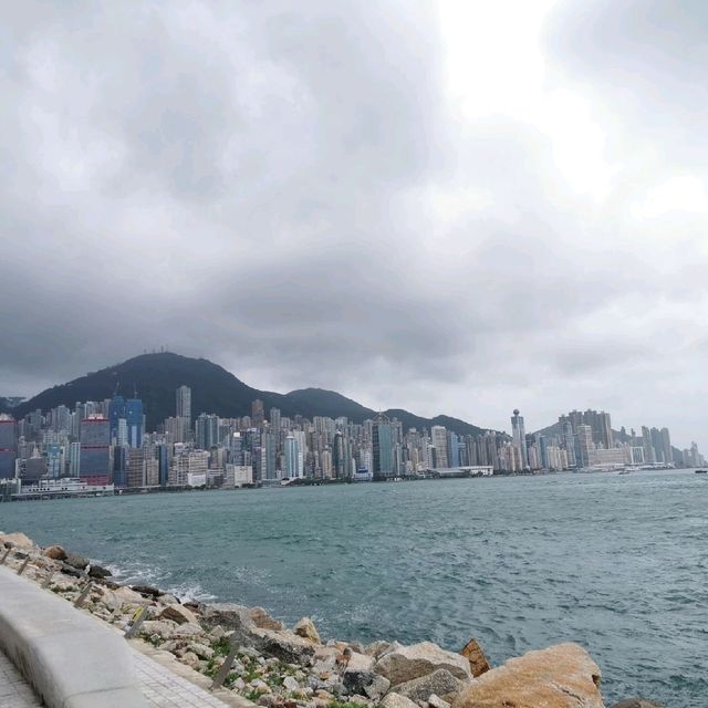 西九龍文化嶄新時尚新蒲點