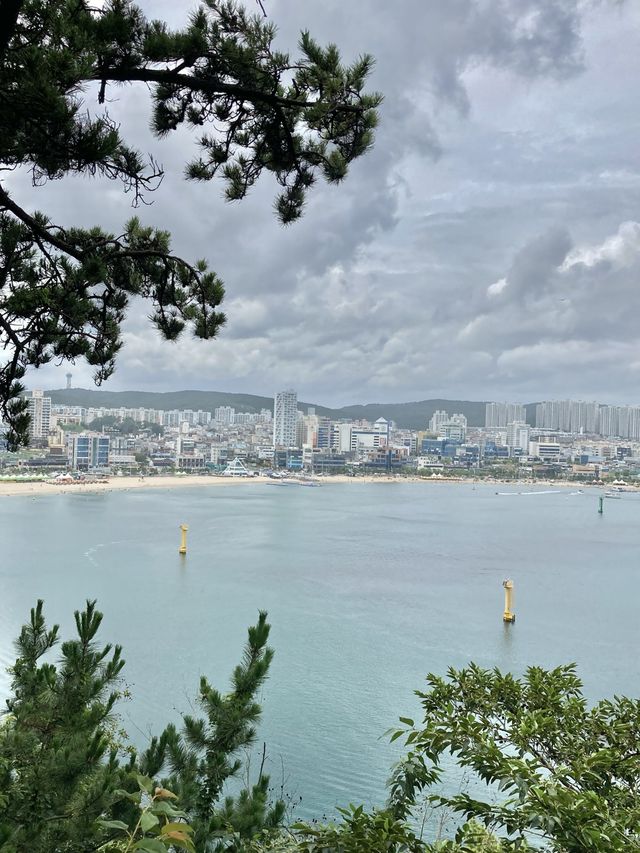 여름 바캉스는 울산으로!