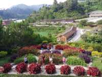 Betong Winter Flower Garden