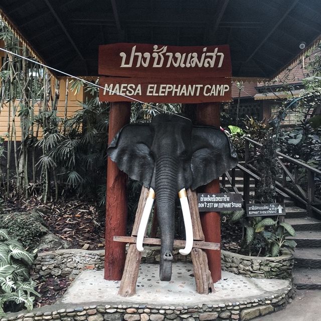 ช้าง ช้าง ช้าง ชวนมา”ปางช้าง”กันนะ