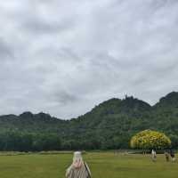 The cafe’ with beautiful natural 