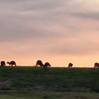 Sunset at Roxburgh Park Melbourne