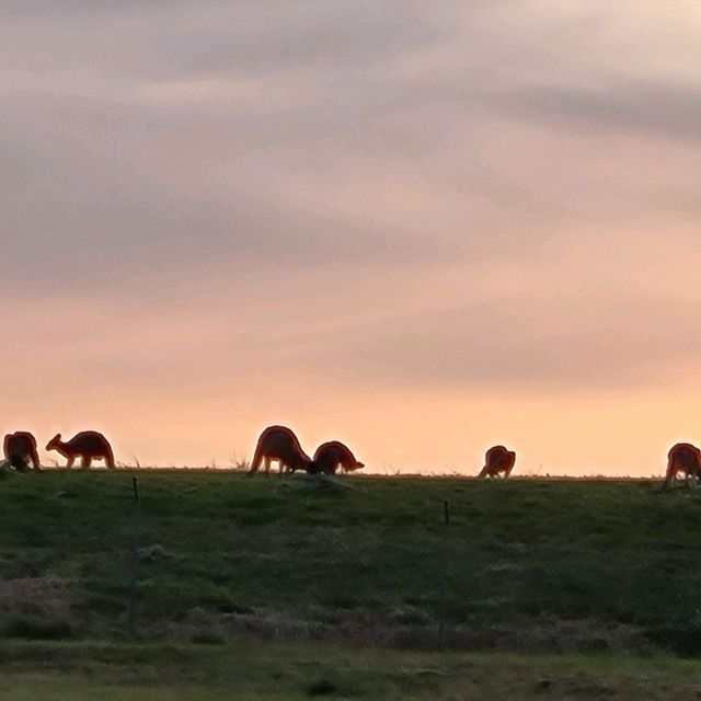 Sunset at Roxburgh Park Melbourne