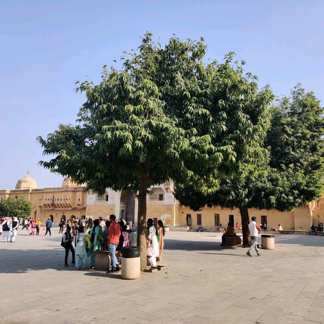 Another day at the Magnificent Amer Fort 