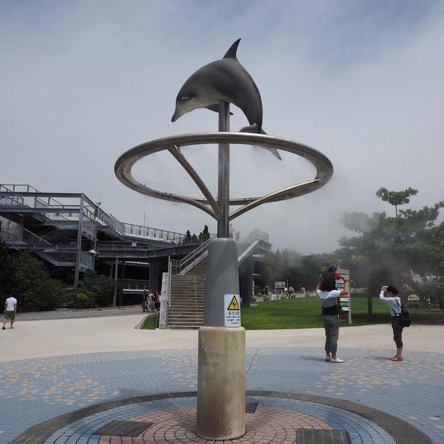 沖繩地標⚠️海洋博公園✅了解沖繩海洋歷史🔱