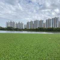 The autumn view of Ilwol park