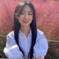 핑크 뮬리의 계절💗올림픽공원에서 만날 수 있어요