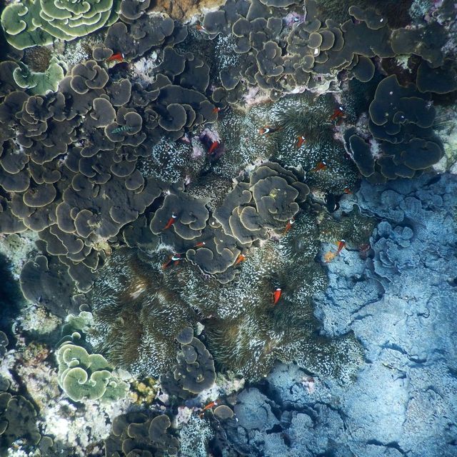 綠島天好藍