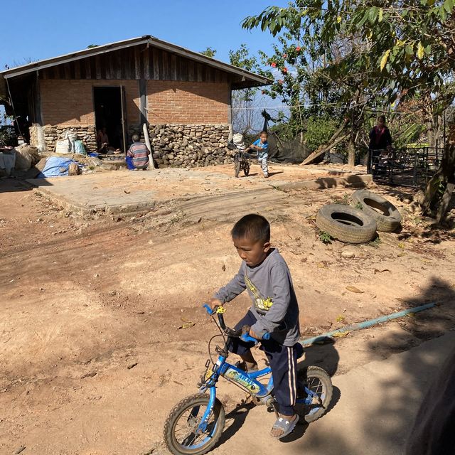  coffee village Doi Pui / Doi Suthep 