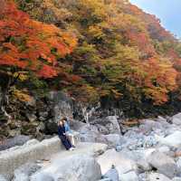 한라산 아래 제주 단풍 명소 <천아계곡>