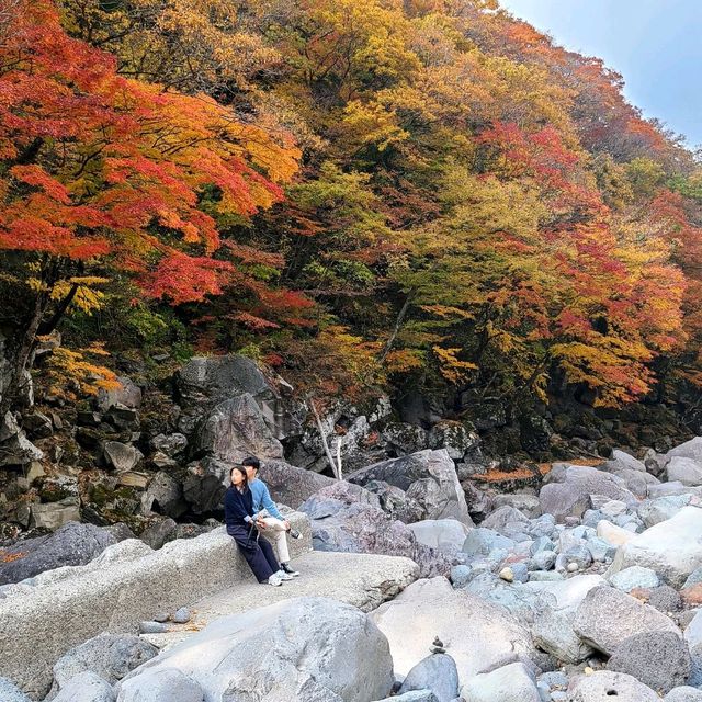 한라산 아래 제주 단풍 명소 <천아계곡>