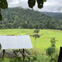 Chiang Dao - Mueang Khong, Thailand