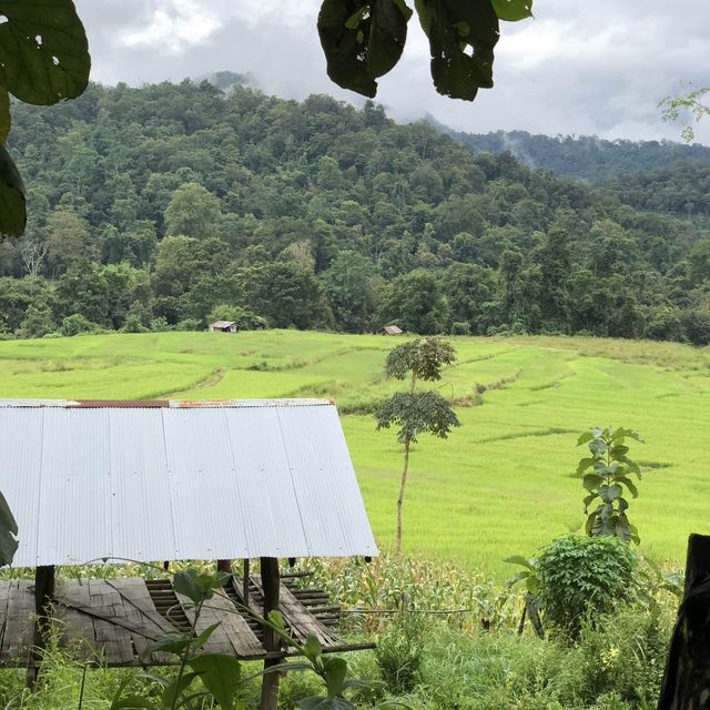 Chiang Dao - Mueang Khong, Thailand