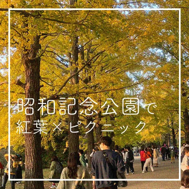 【のんびりデートに最適🍃昭和記念公園】