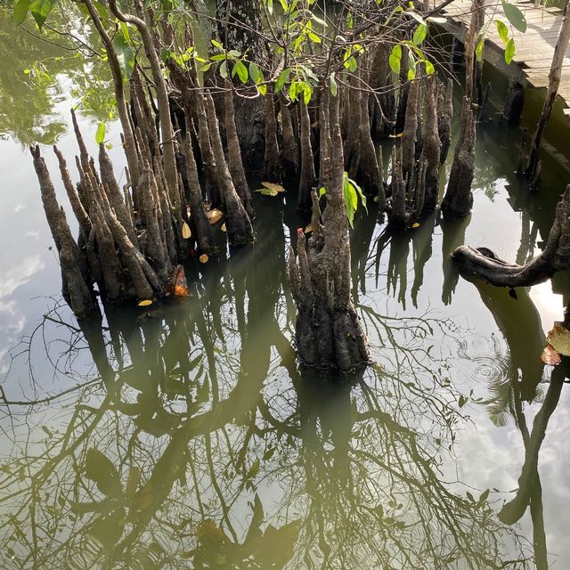 Binh Quoi Tourist Village 