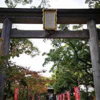 300年的歷史的古蹟 八坂神社