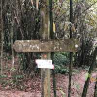 桃園 溪洲山 