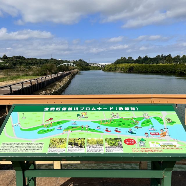 【沖縄・本島】本島でも楽しめるマングローブ林