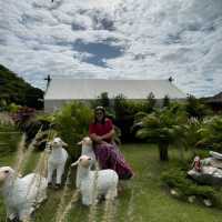 Mont Blanc Glamping Khao Yai 