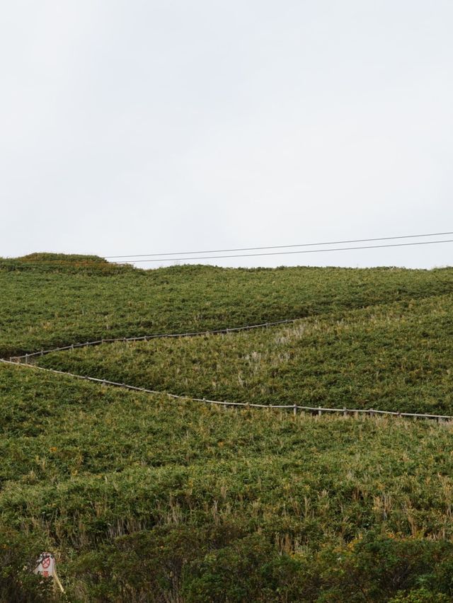 【北海道・積丹】神威岬