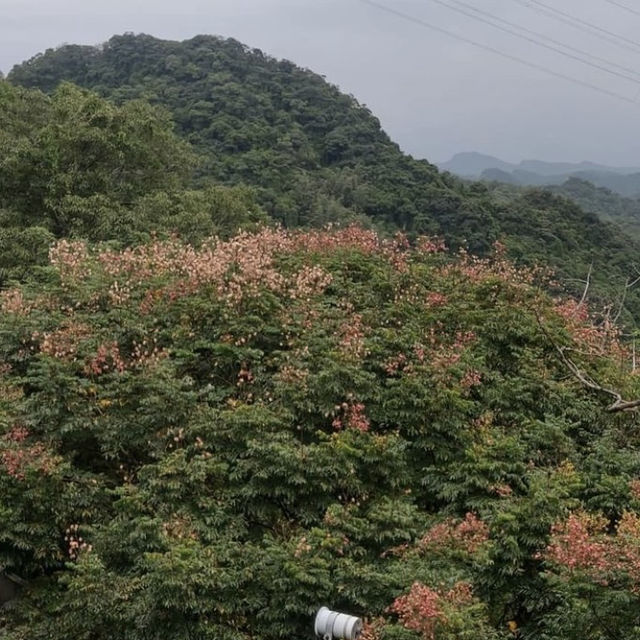 圓覺瀑布🗻台北郊遊之地