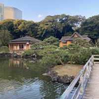 東京〝浜離宮恩賜庭園〟