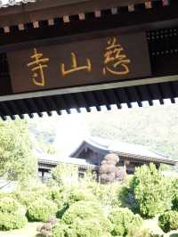 大埔世外桃源-慈山寺