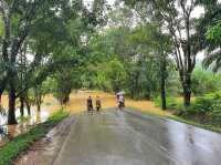 FLOOD IN FELDA ARING