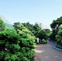 鑽石山-南蓮園池 - 香港最棒的公園