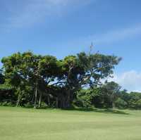 【沖縄･小浜島】最南端と最西端のティーがあるゴルフ場⛳️