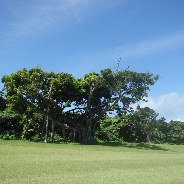 【沖縄･小浜島】最南端と最西端のティーがあるゴルフ場⛳️