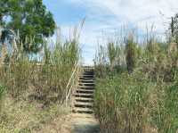 大欖郊野公園
