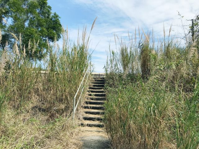 大欖郊野公園