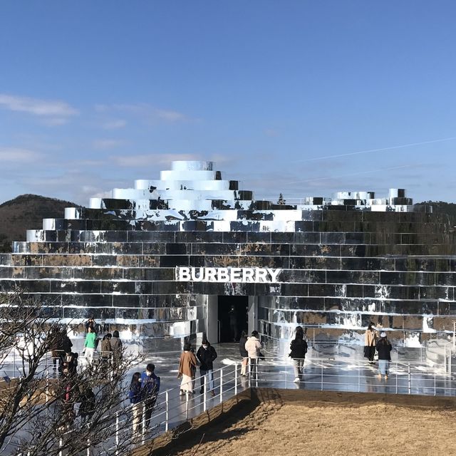 버버리 전시회