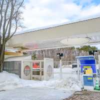 冬の円山動物園正門