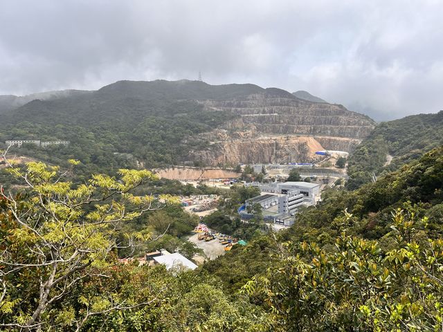 港島劏青蛙