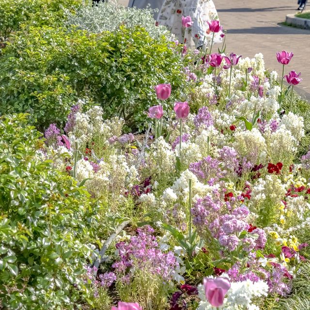 春の山下公園噴水付近