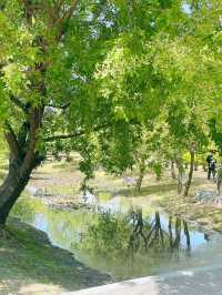 봄나들이 가기좋은 김해 봉황대공원 🌳