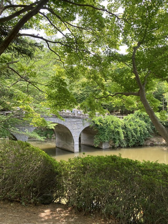 경주 추억의 여행장소