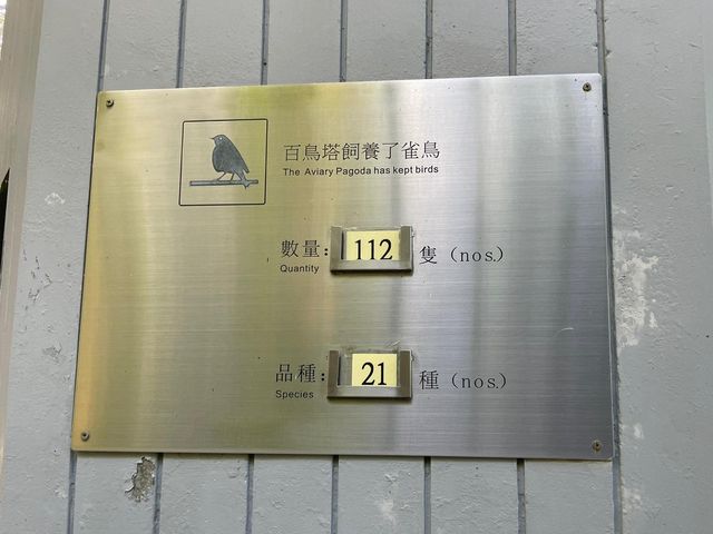 置身於大自然@《百鳥塔》