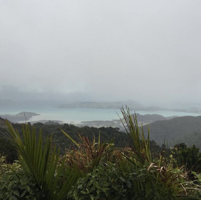 coromandel peninsula and hot water beach