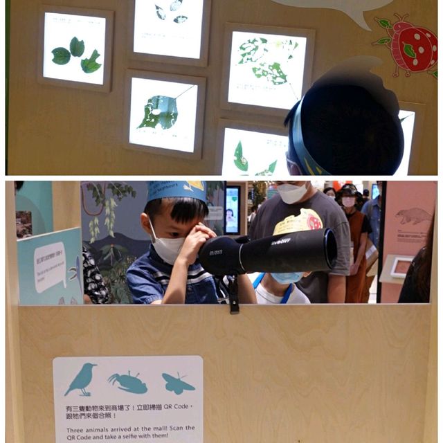 同仔仔一樣冇手尾動物免費展覽