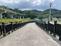 最棒的捷運公園可以直接欣賞捷運