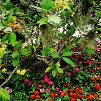 The Hanging Gardens - Mexican Roots 