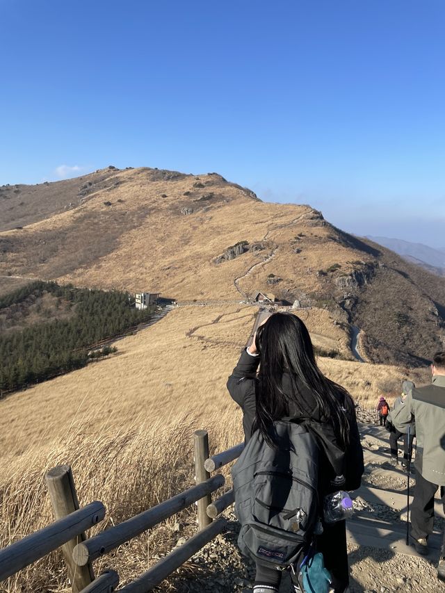 [울산]지금 완전 핫한 간월재 피크닉❣️