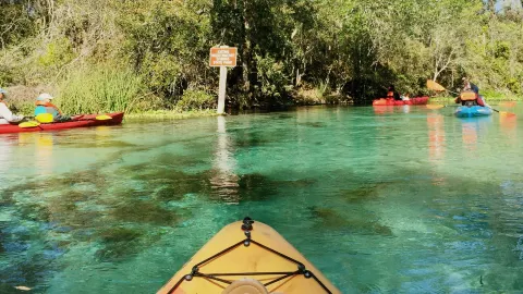 คริสตัลริเวอร์ที่วีคีวาชีสปริงส์ — traveler post in Hernando County